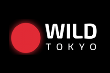 Wild Tokyo Bonus – 10 No Deposit Spins + 150 free Spins + R$300 Bonus